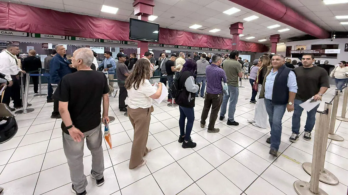 WhatsApp Image 2026-03-31 at 10.03.14 AM