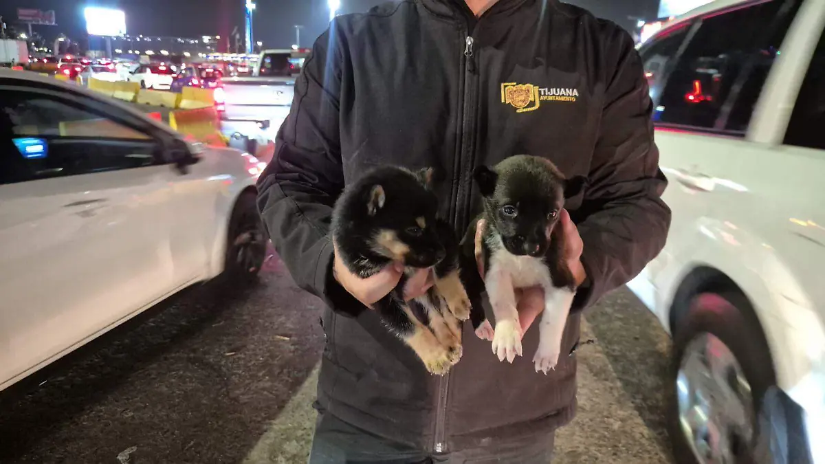 WhatsApp Image 2026-03-31 at 5.36.46 PM