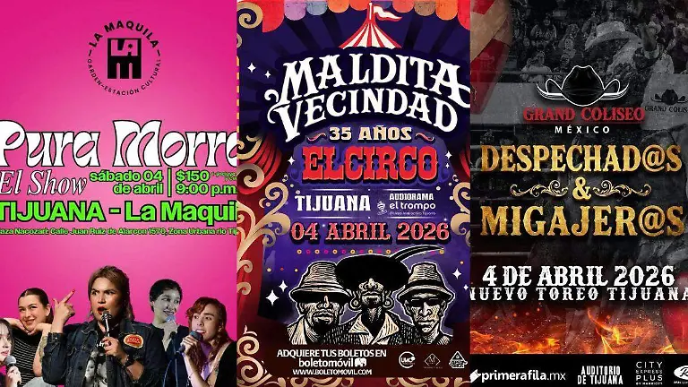 Diseño sin título (24)