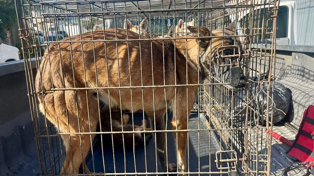 WhatsApp Image 2026-04-09 at 7.49.24 PM