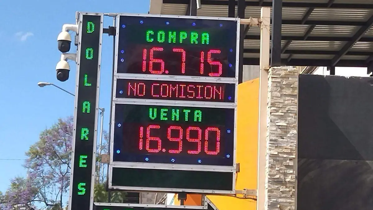 WhatsApp Image 2026-04-11 at 10.28.04