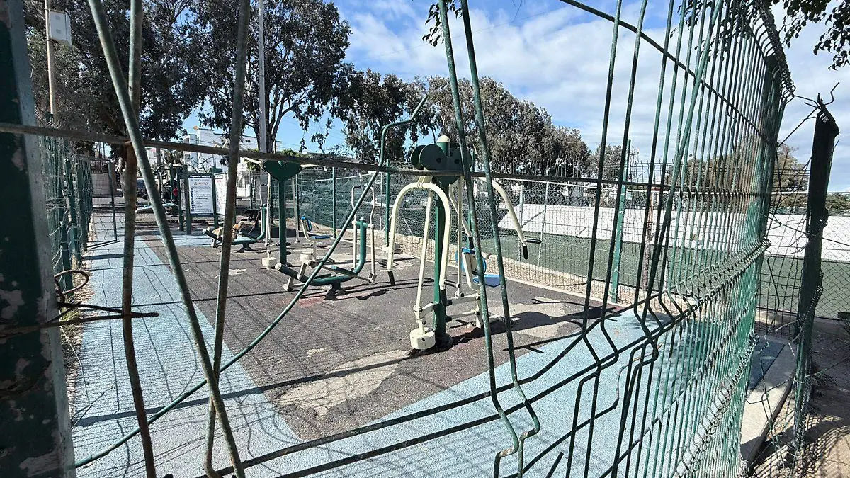 WhatsApp Image 2026-04-11 at 12.03.31 (1)