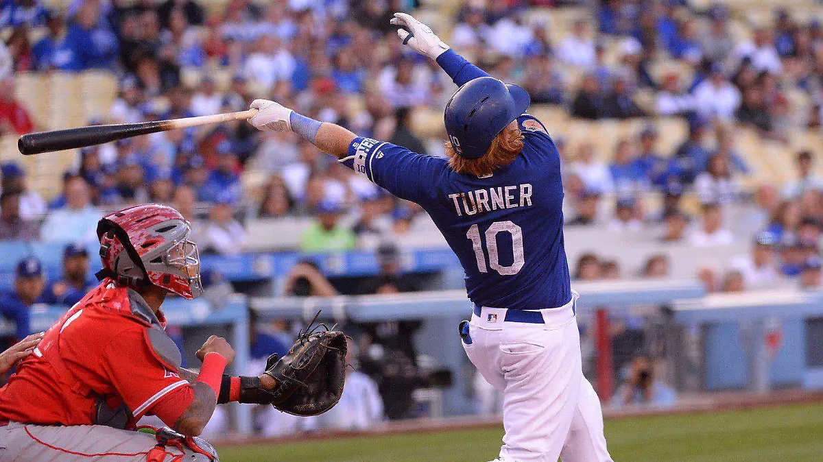 WhatsApp Image 2026-04-11 at 4.06.29 PM