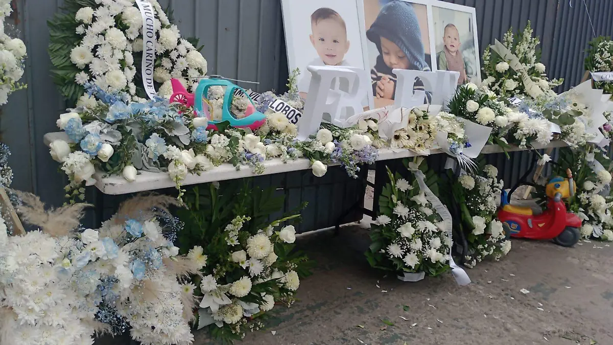 WhatsApp Image 2026-04-12 at 12.38.08 PM