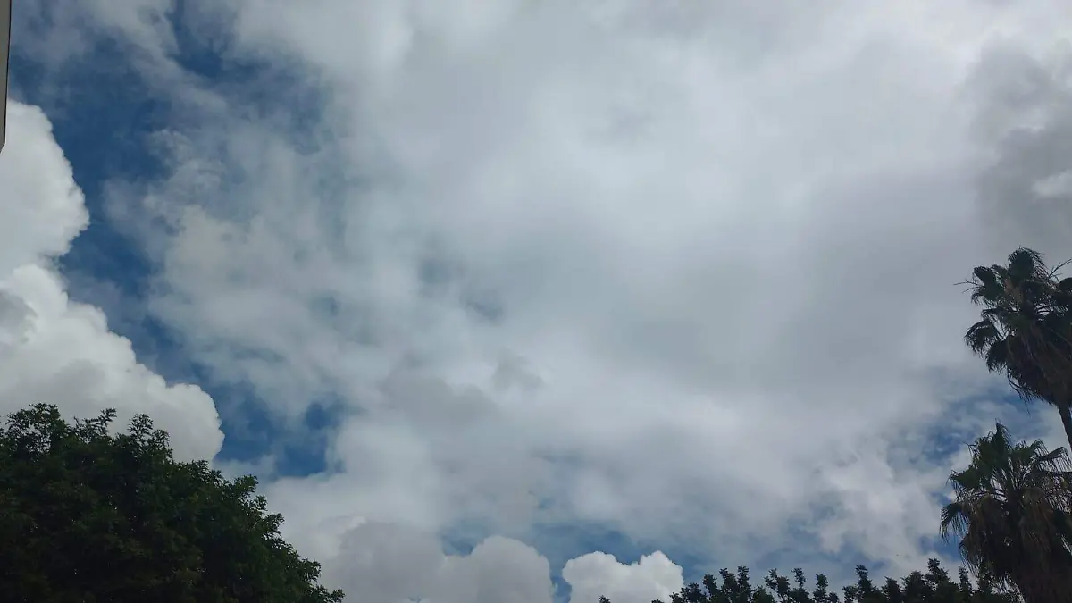 WhatsApp Image 2026-04-13 at 12.11.16 PM