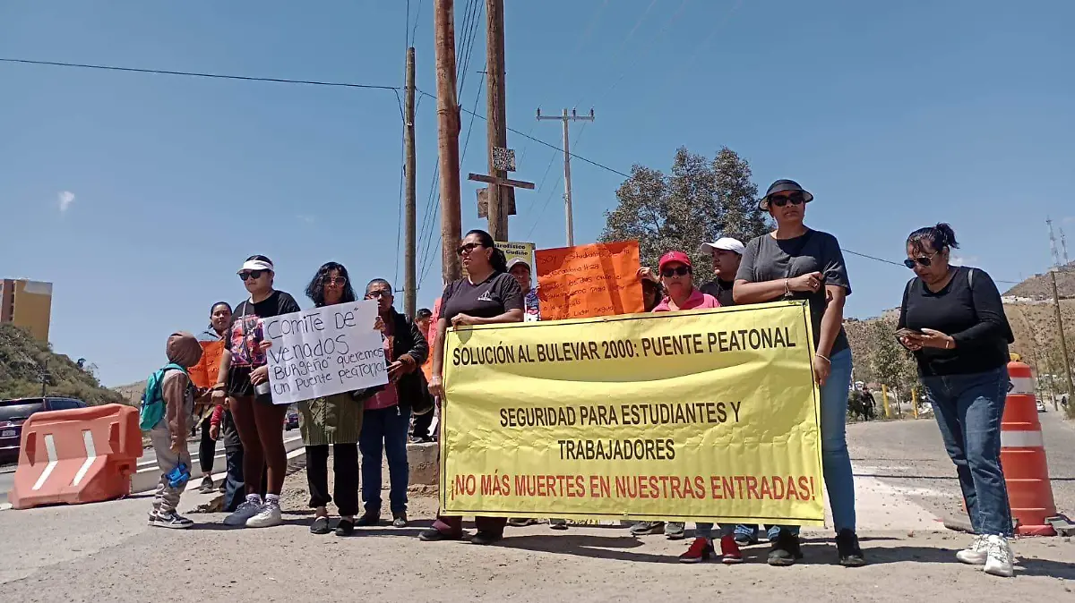 WhatsApp Image 2026-04-14 at 13.54.07