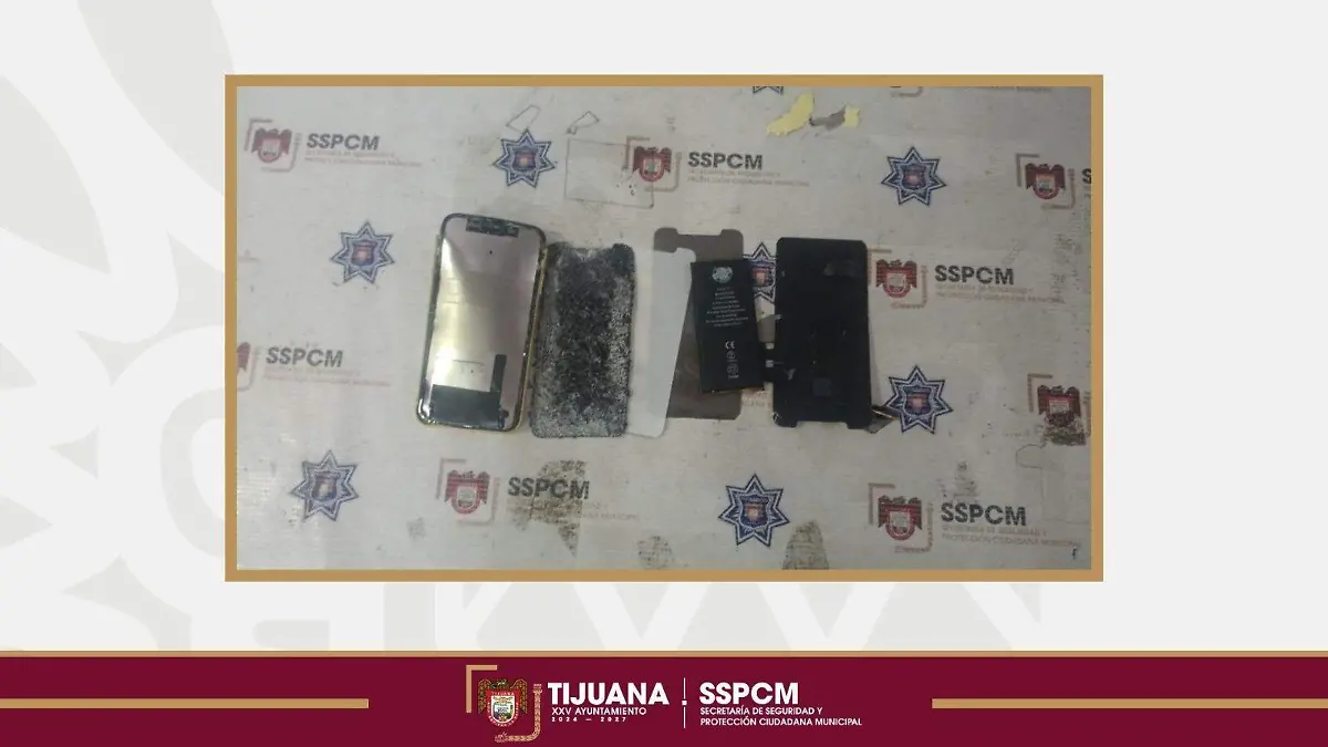 WhatsApp Image 2026-04-16 at 8.15.02 PM