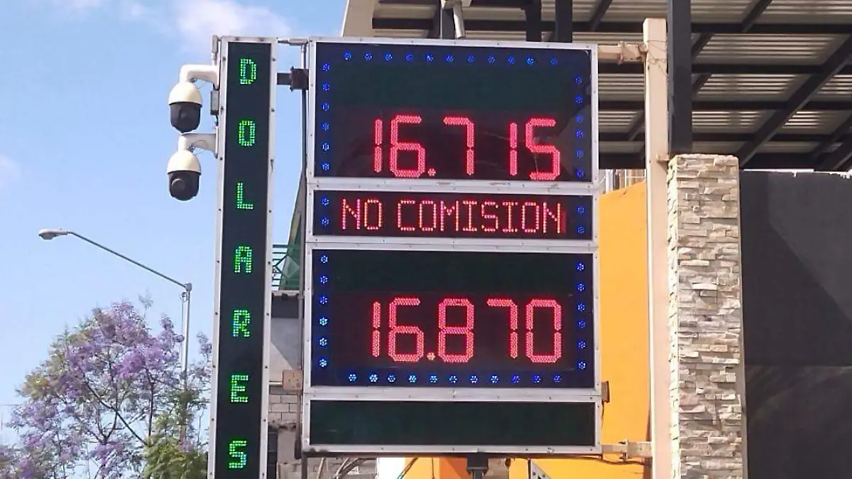 WhatsApp Image 2026-04-17 at 10.23.50