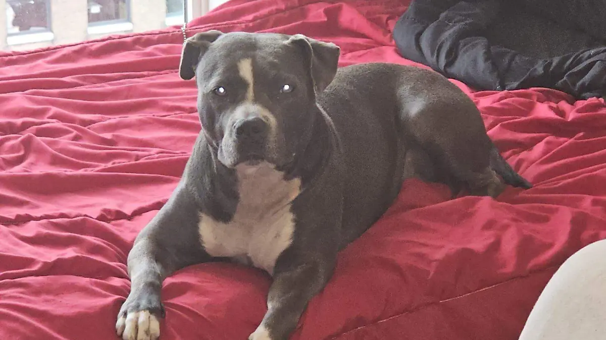 674412121_10164979847948169_6209236309193145195_n