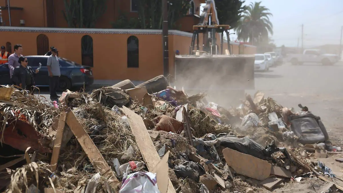 WhatsApp Image 2026-04-19 at 5.55.05 PM