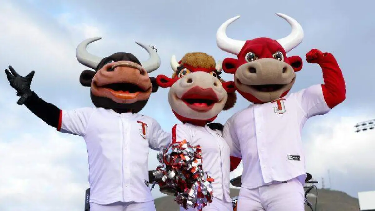 WhatsApp Image 2026-04-23 at 6.44.59 PM