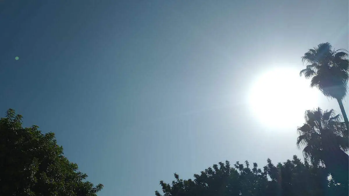 Diseño sin título (57)