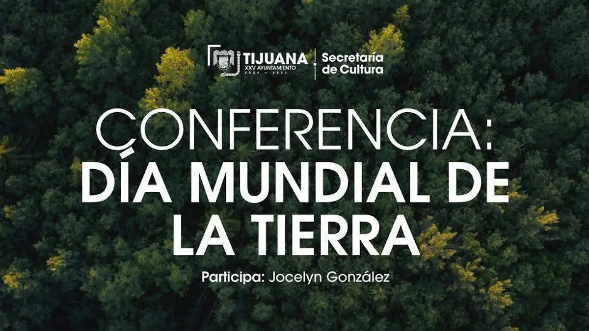 WhatsApp Image 2026-04-24 at 14.08.32