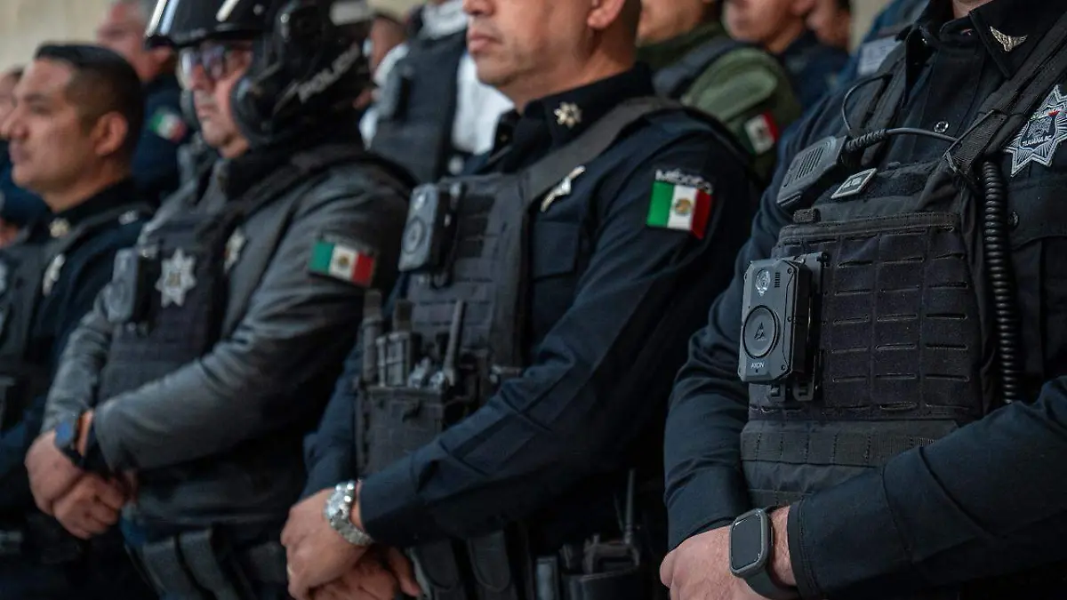 WhatsApp Image 2026-04-24 at 14.08.54