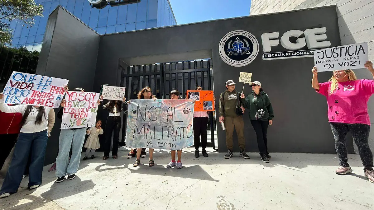 WhatsApp Image 2026-04-26 at 1.06.53 PM