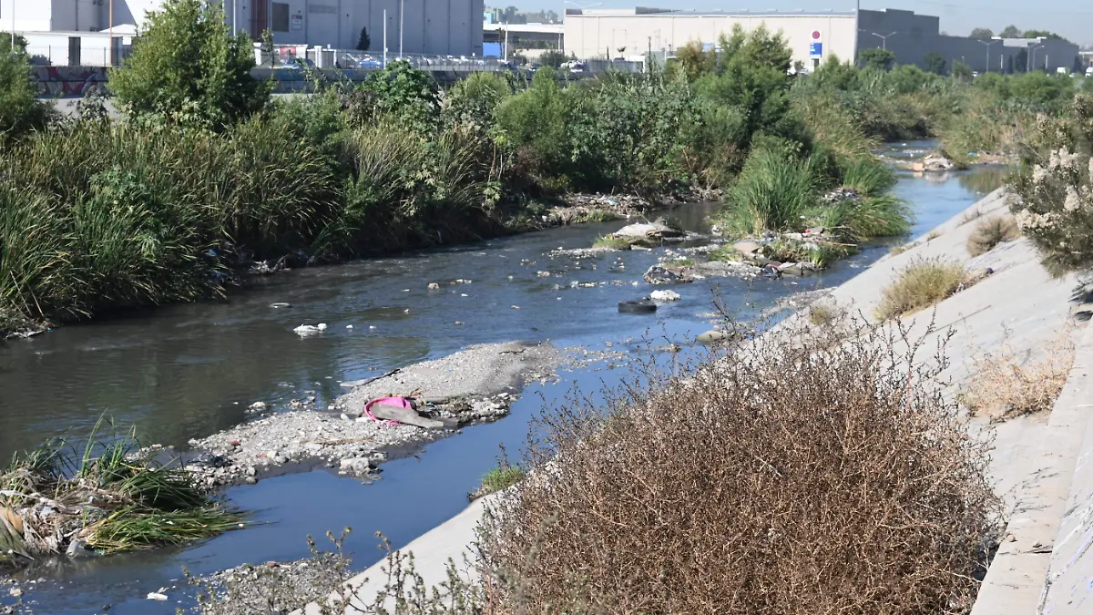 73-cl. maleza en canal rio Tijuana -(2)