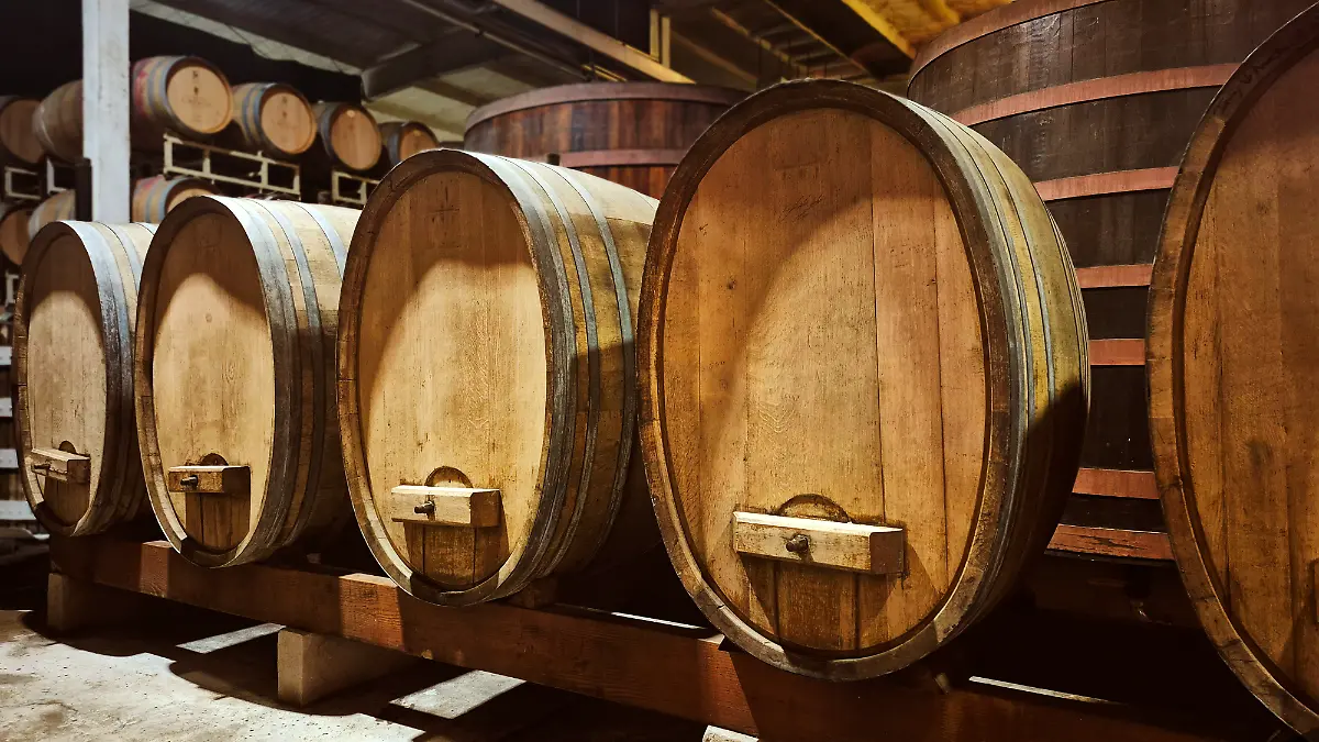 Valle-De-Guadalupe-LA-Cetto
