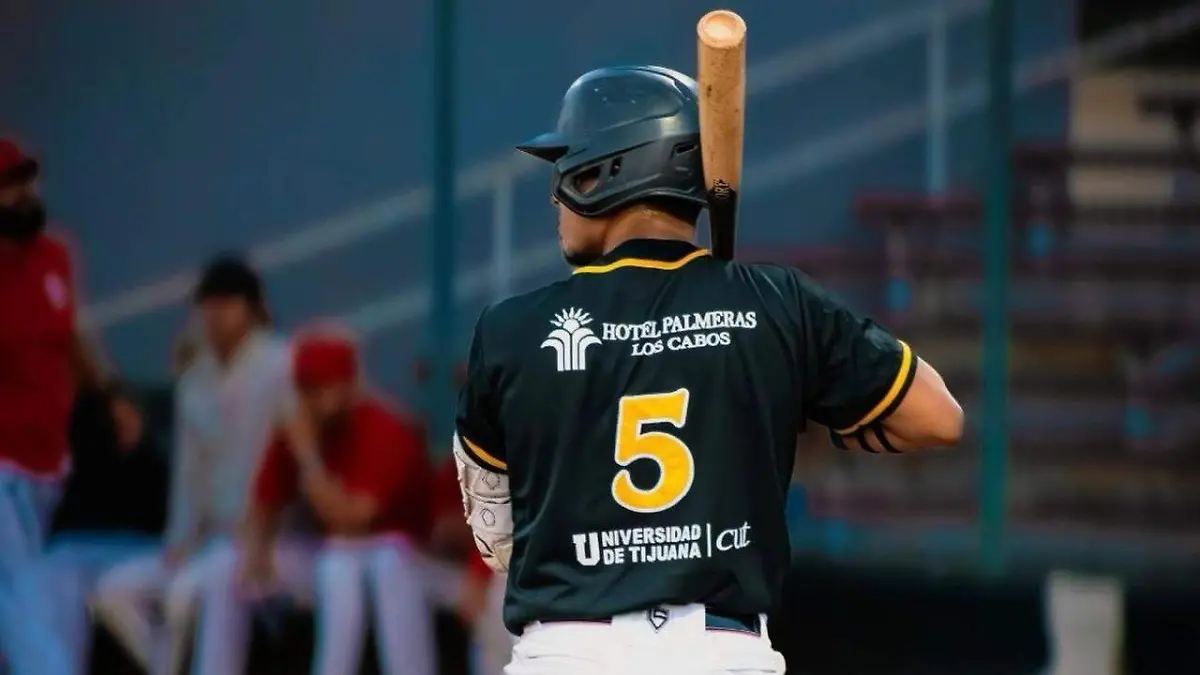 WhatsApp Image 2026-07-25 at 1.01.19 PM