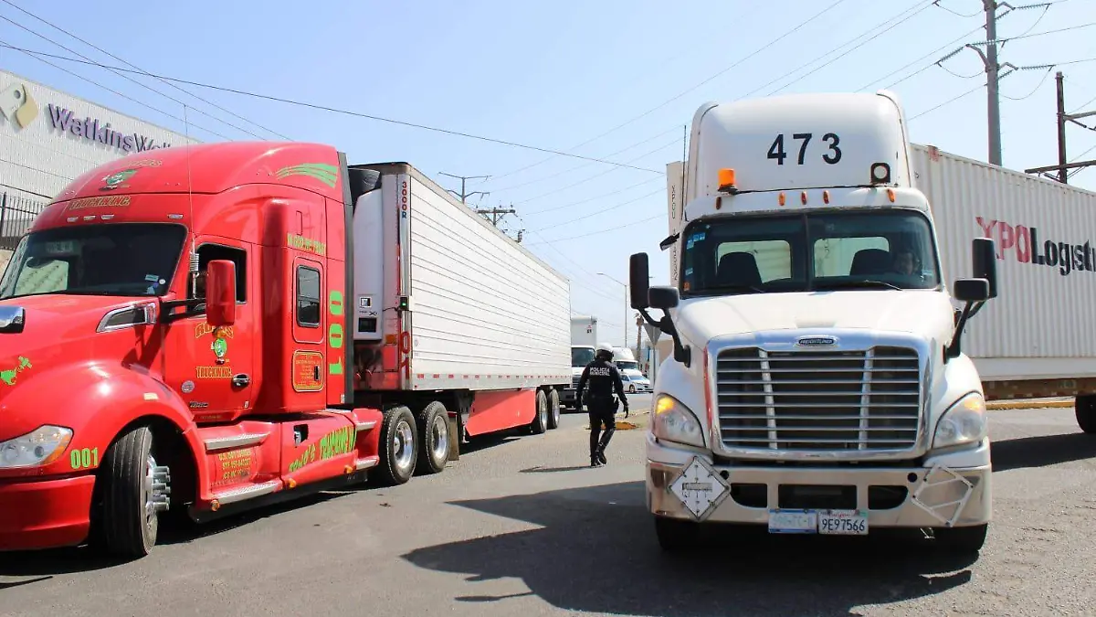 51 AG Exportación 