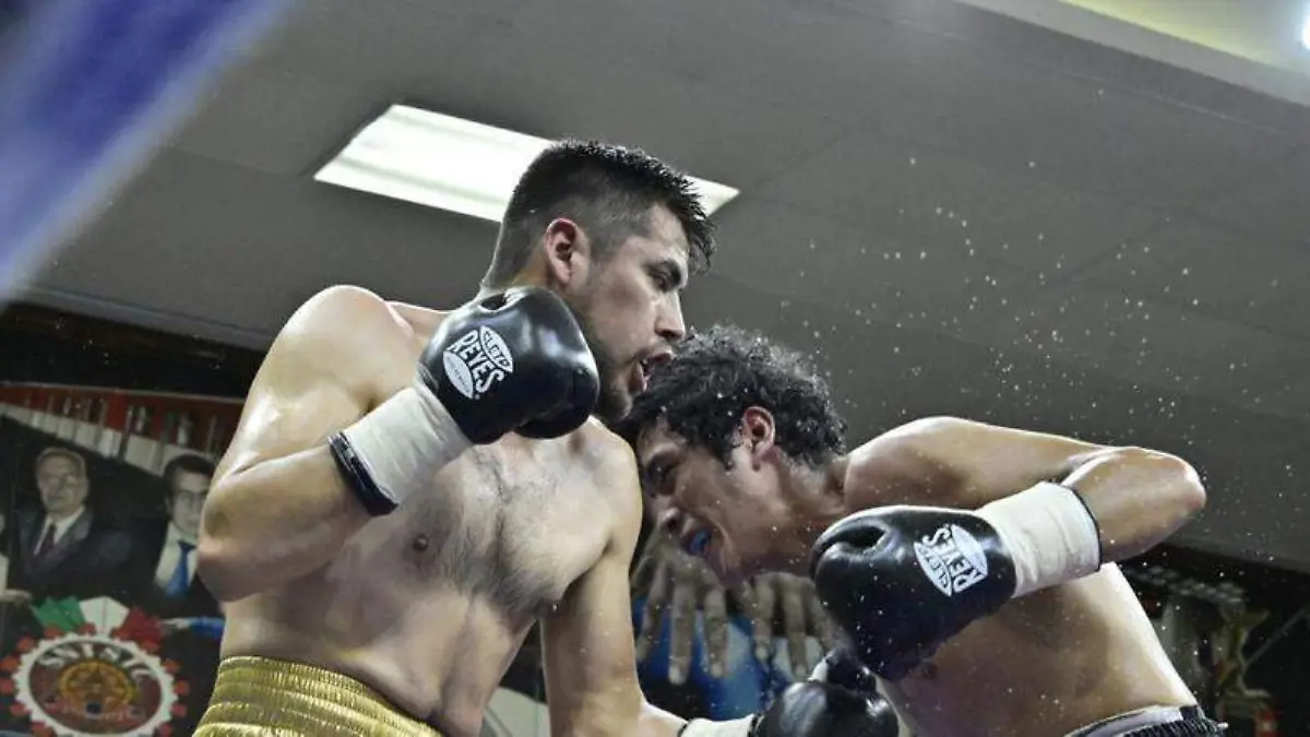 Brandon Velázquez crece como boxeador profesionalCortesía Sandro Haro Monarca (2)