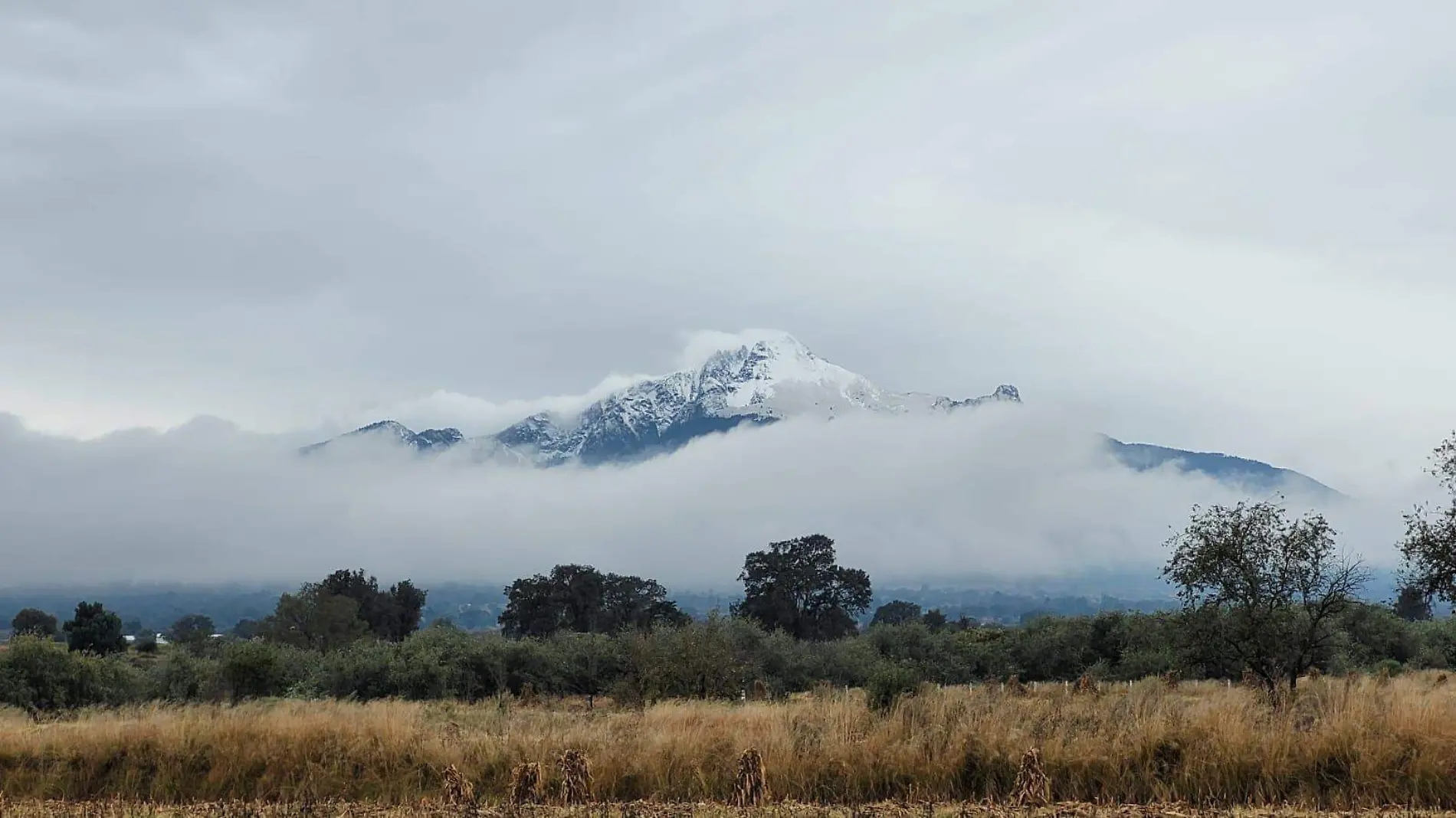 Nevada Malinche 