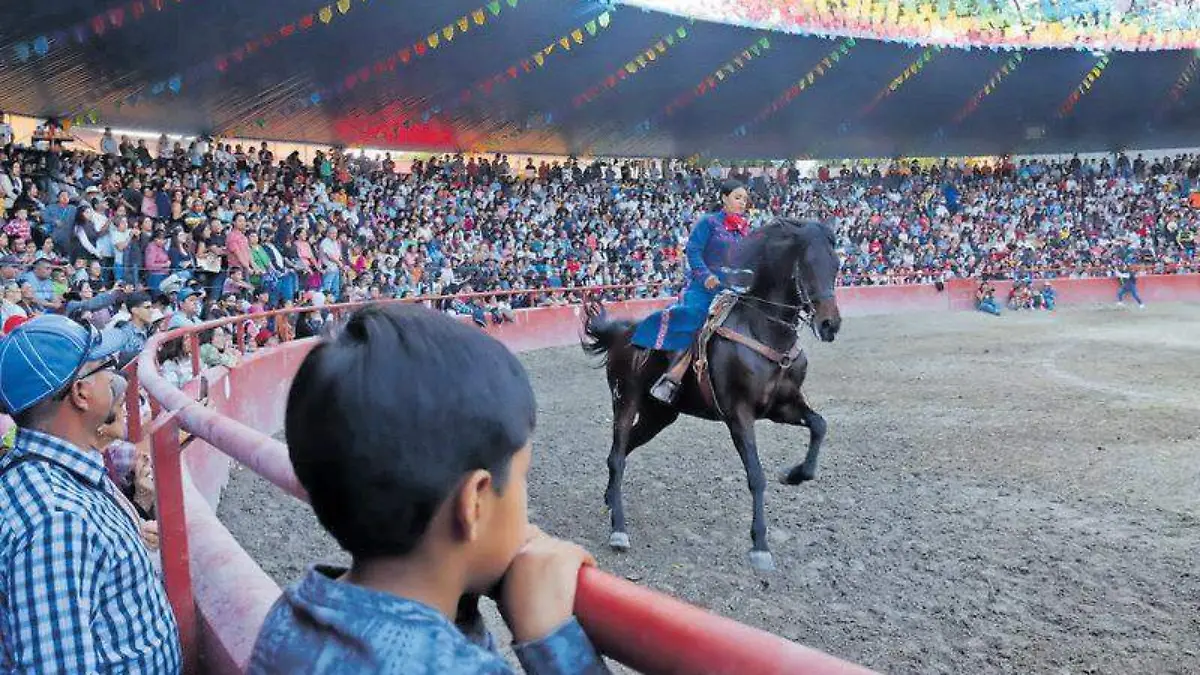 Espectáculo caballos (2)