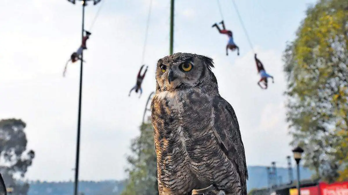 El público conoció el valor ecosistémico de estas aves