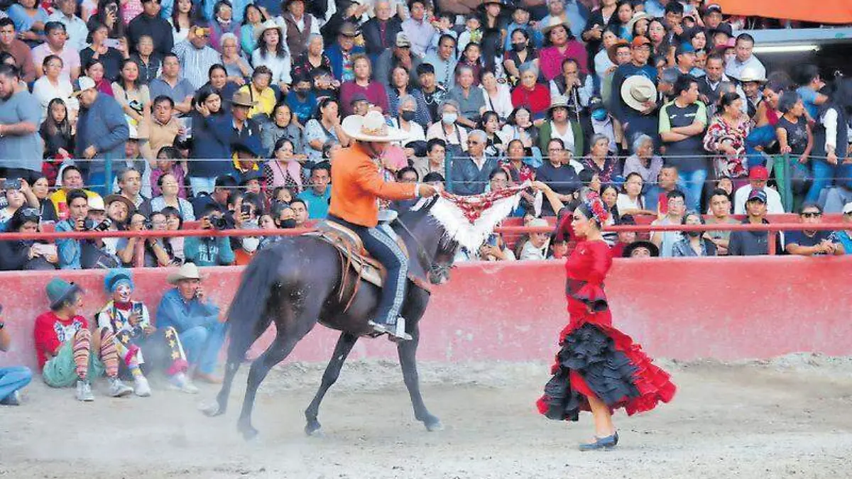 Espectáculo caballos