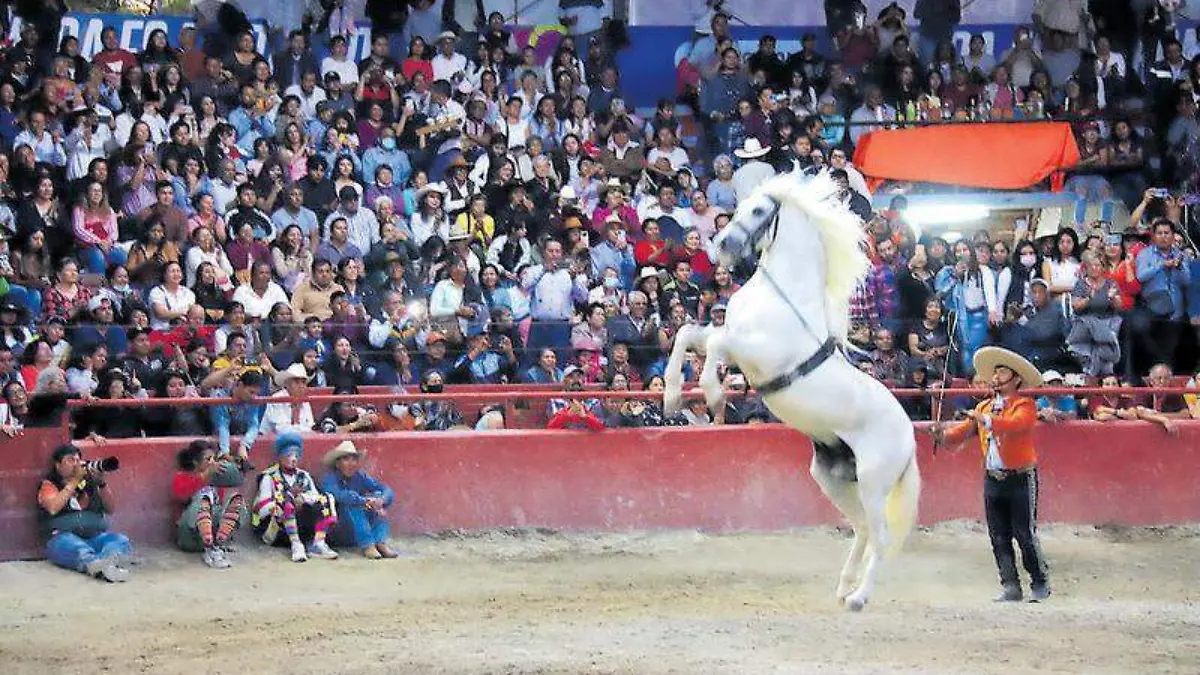 Espectáculo caballos (3)