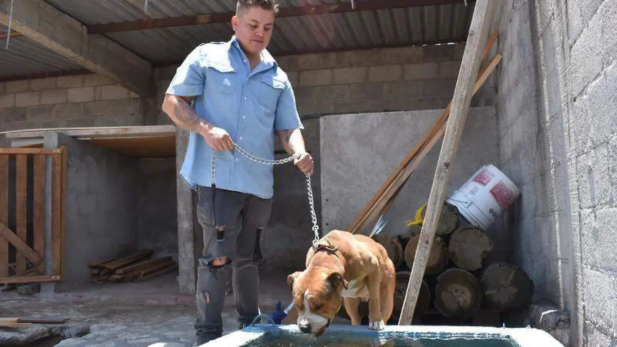 Perro (5)
