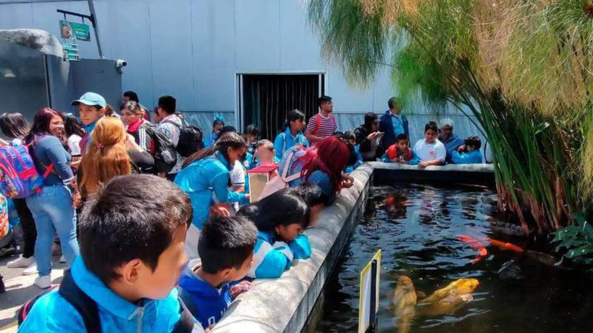 alumnos-de-primaria-de-Santa-Cruz-Tlaxcala-al-Acuario-Michin-de-Puebla-(2)