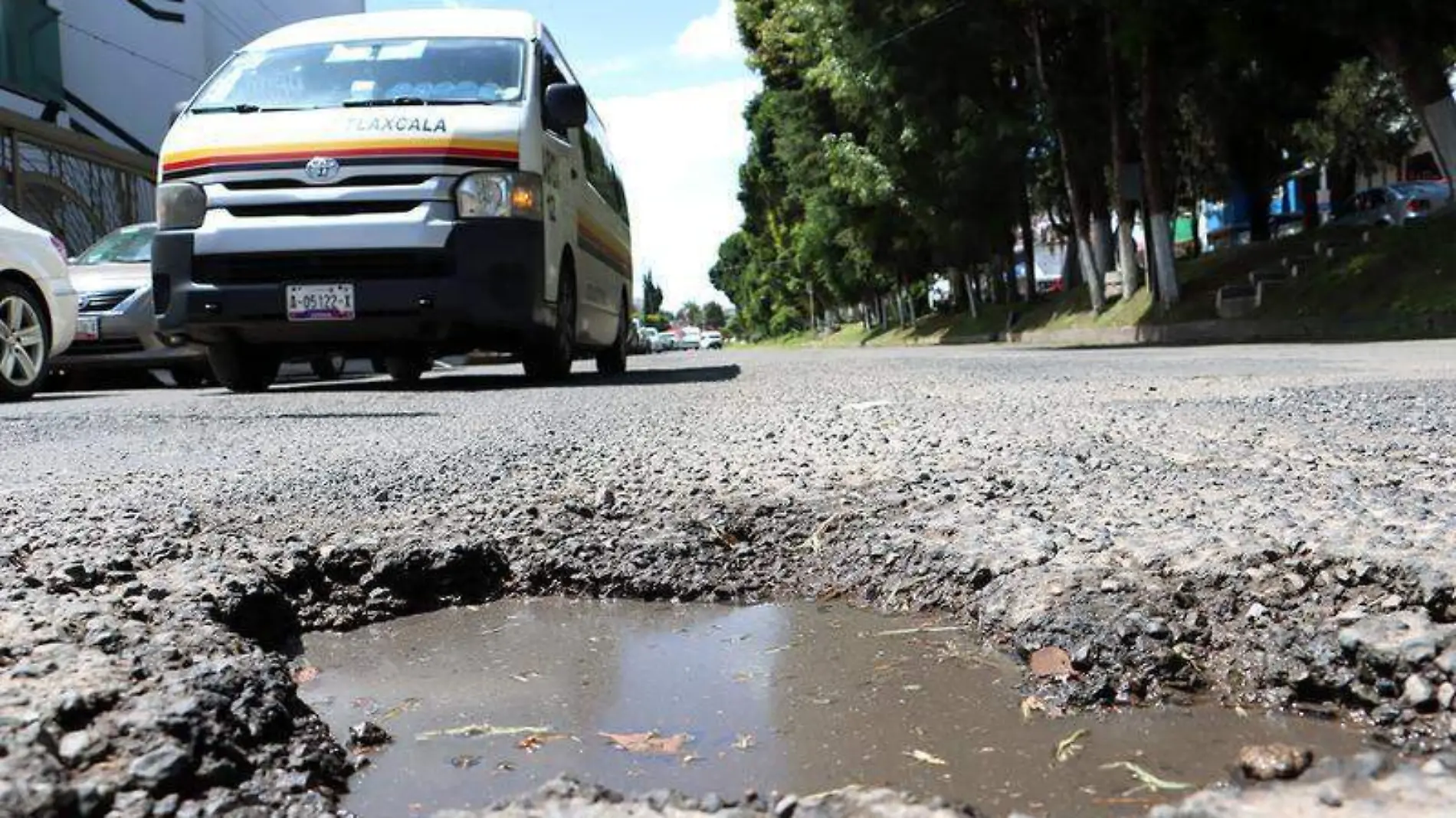 baches