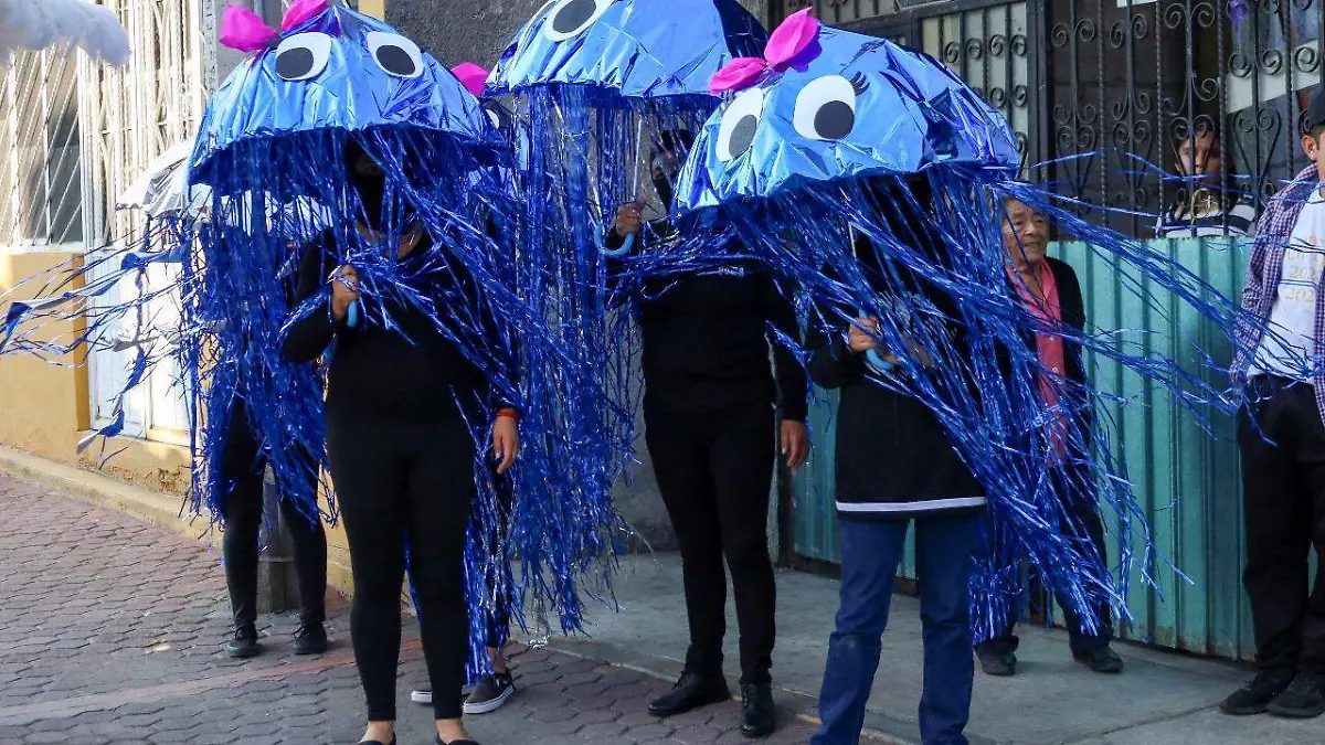 Carnaval Texoloc (6)