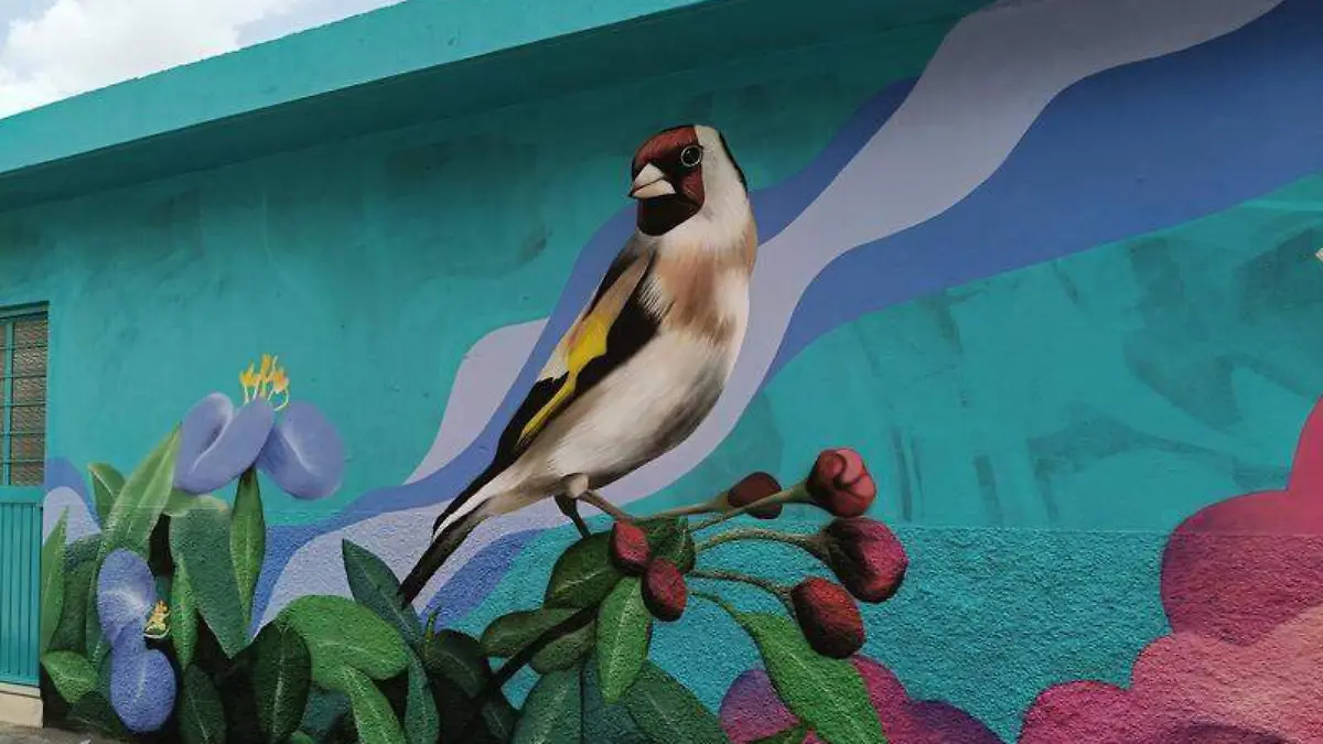 Valeria Álvarez (2)