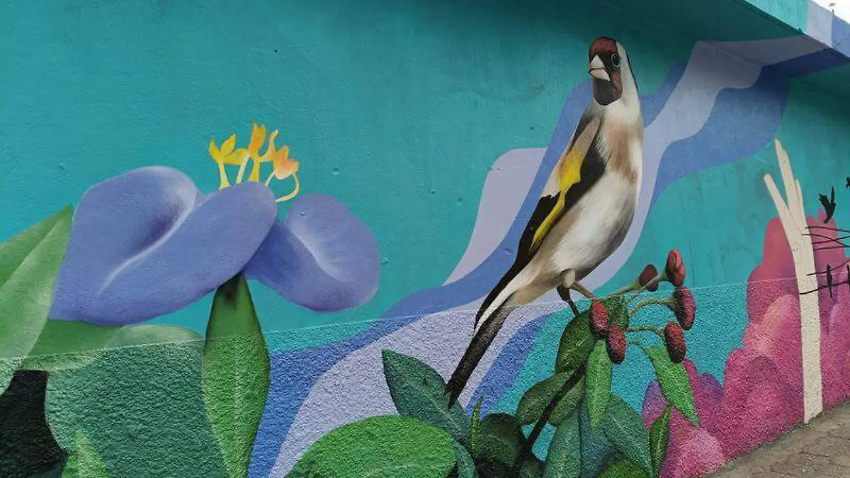 Valeria Álvarez (3)