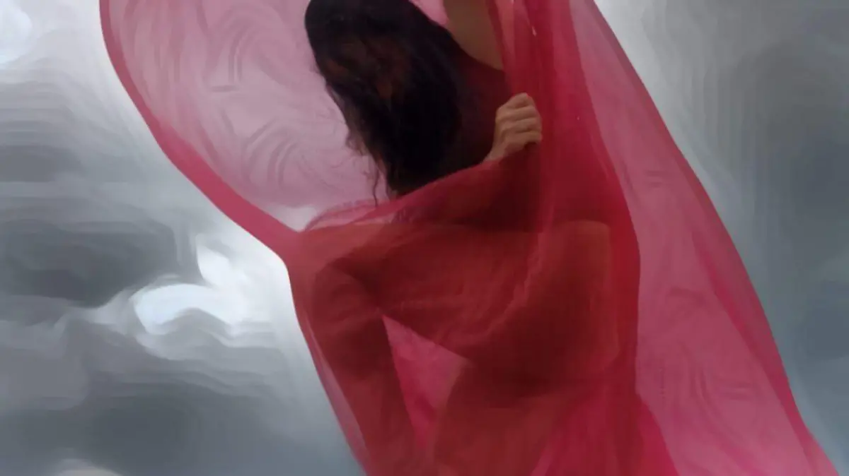 danza (2)