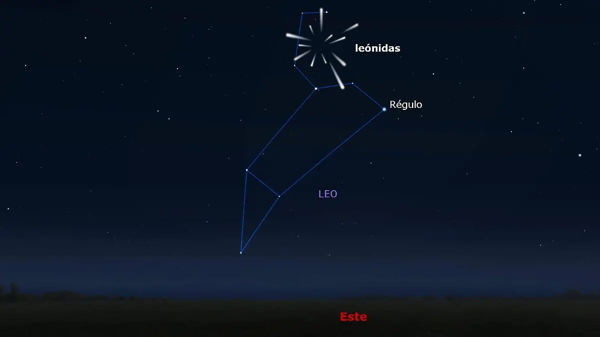 WhatsApp Image 2023-11-16 at 7.38.50 PM