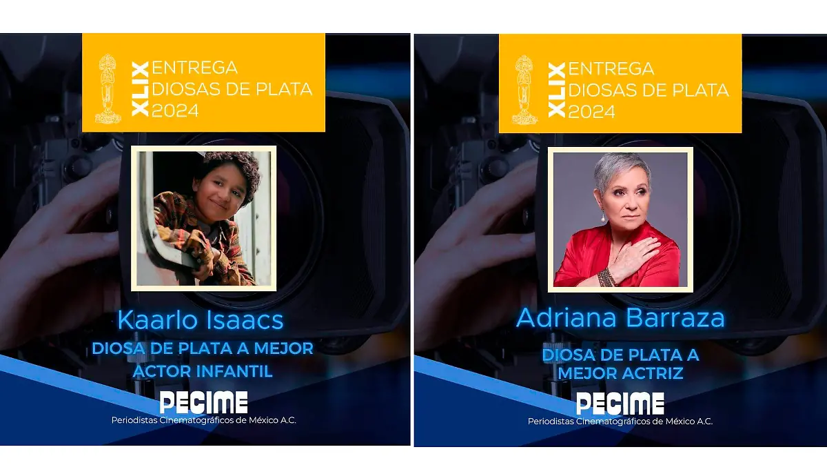 nominación Diosas de PLata (1)-3
