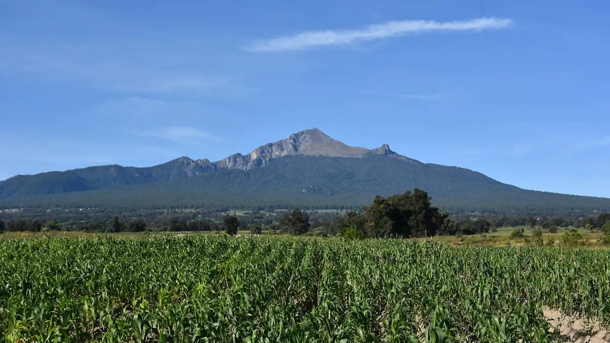 milpá campesino  (2)