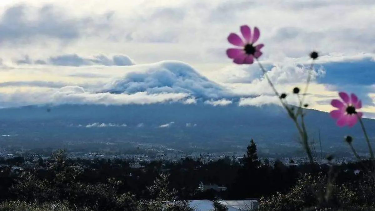 Malinche