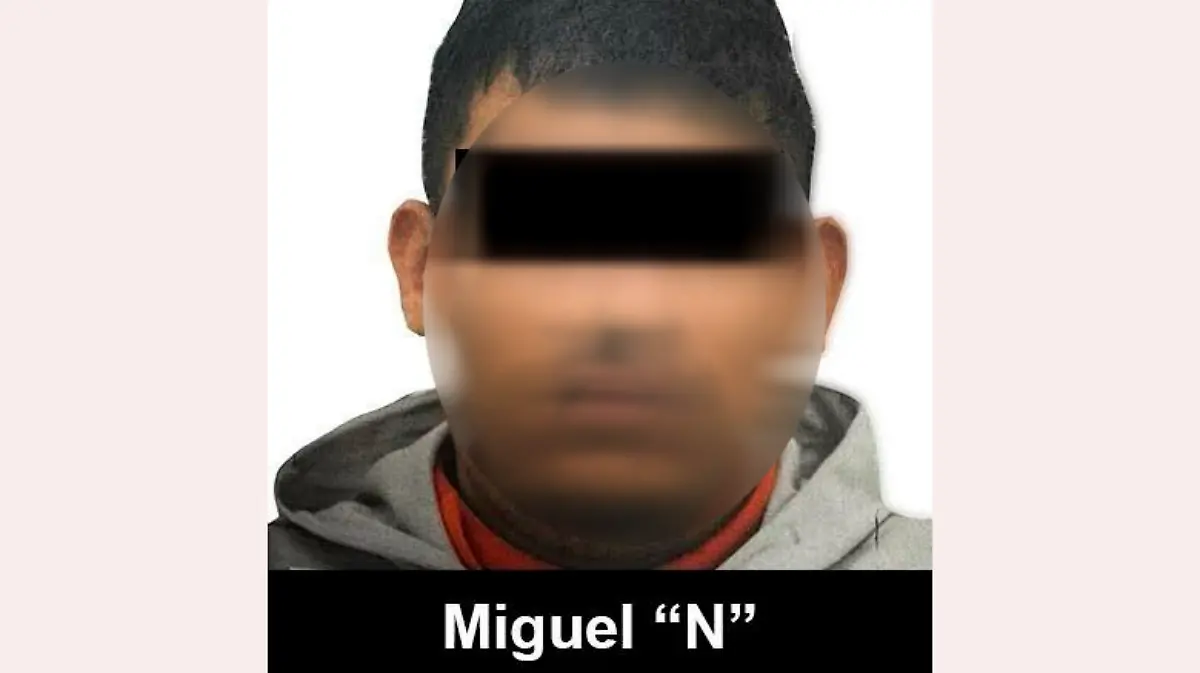 miguel n