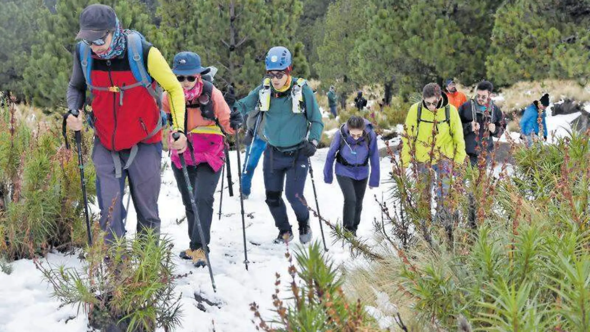 Alpinistas