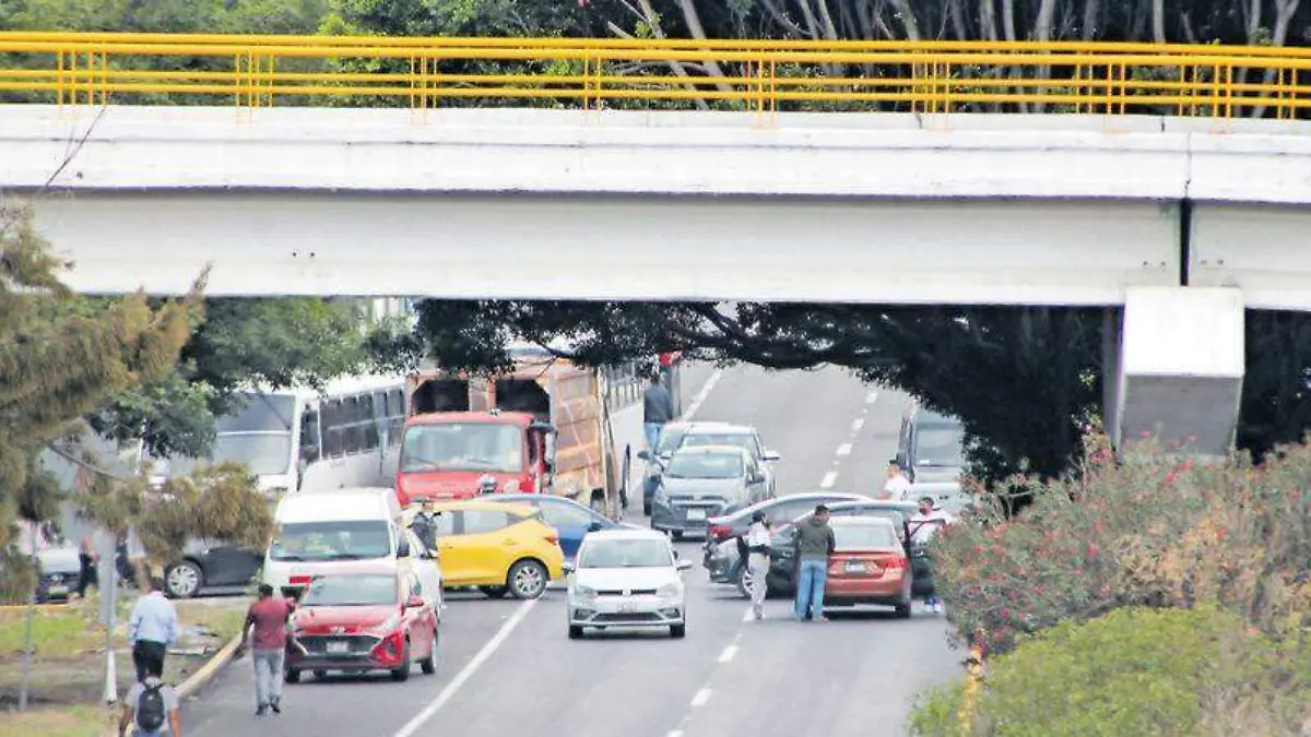 pérdidas económicas (2)