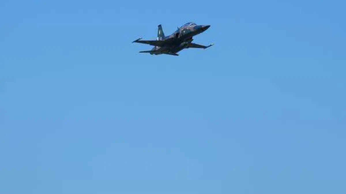 Desfile Fuerza Aérea (5)