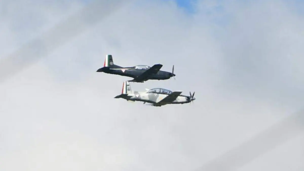 Desfile Fuerza Aérea (6)