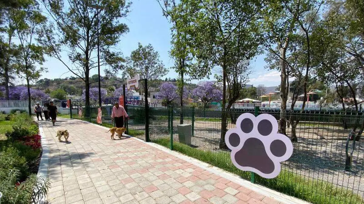 Parque para perros (2)