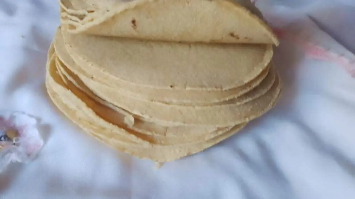 En 18 pesos está el kilo de tortilla de máquina, hasta el momento no presenta incrementos 