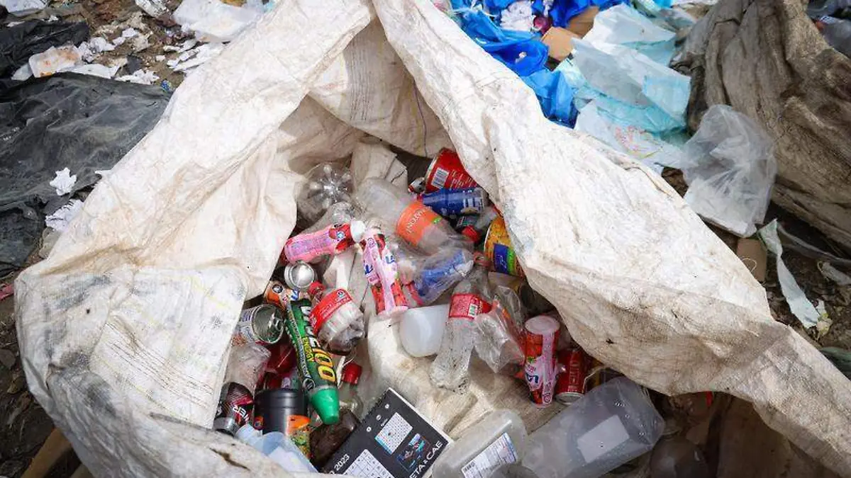 Basura, reciclaje (3)