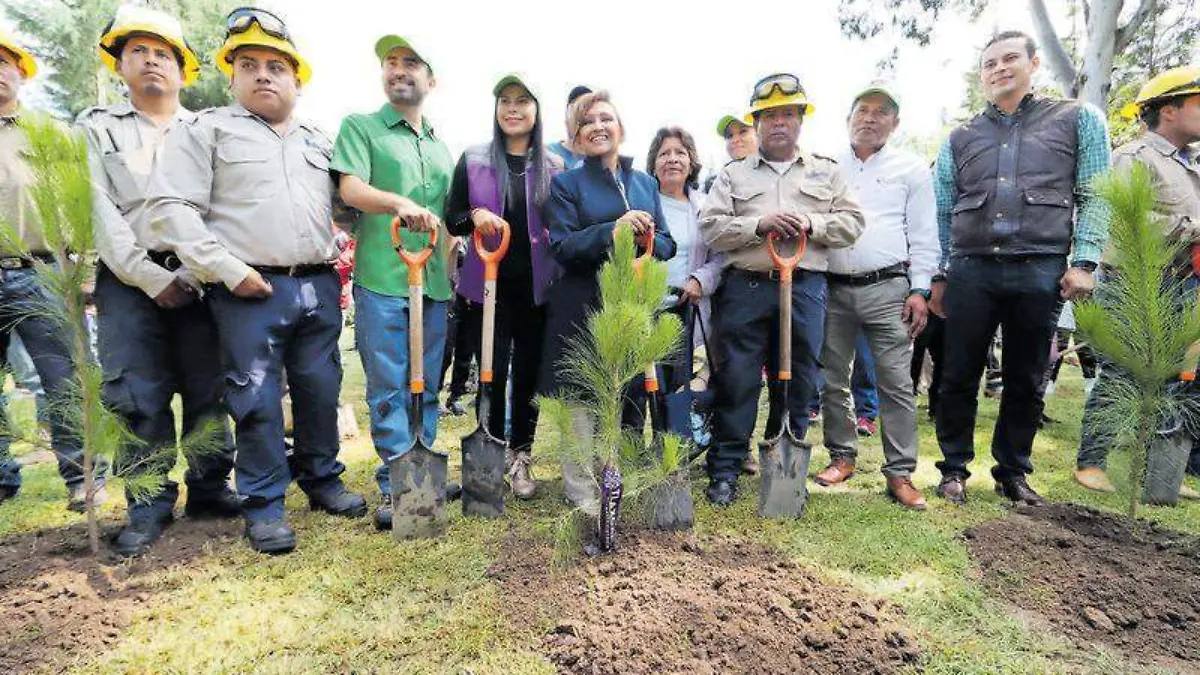 La gobernadora encabezó el inicio del programa “Reforestación Joven” que se realizará en diversos puntos del estado 4
