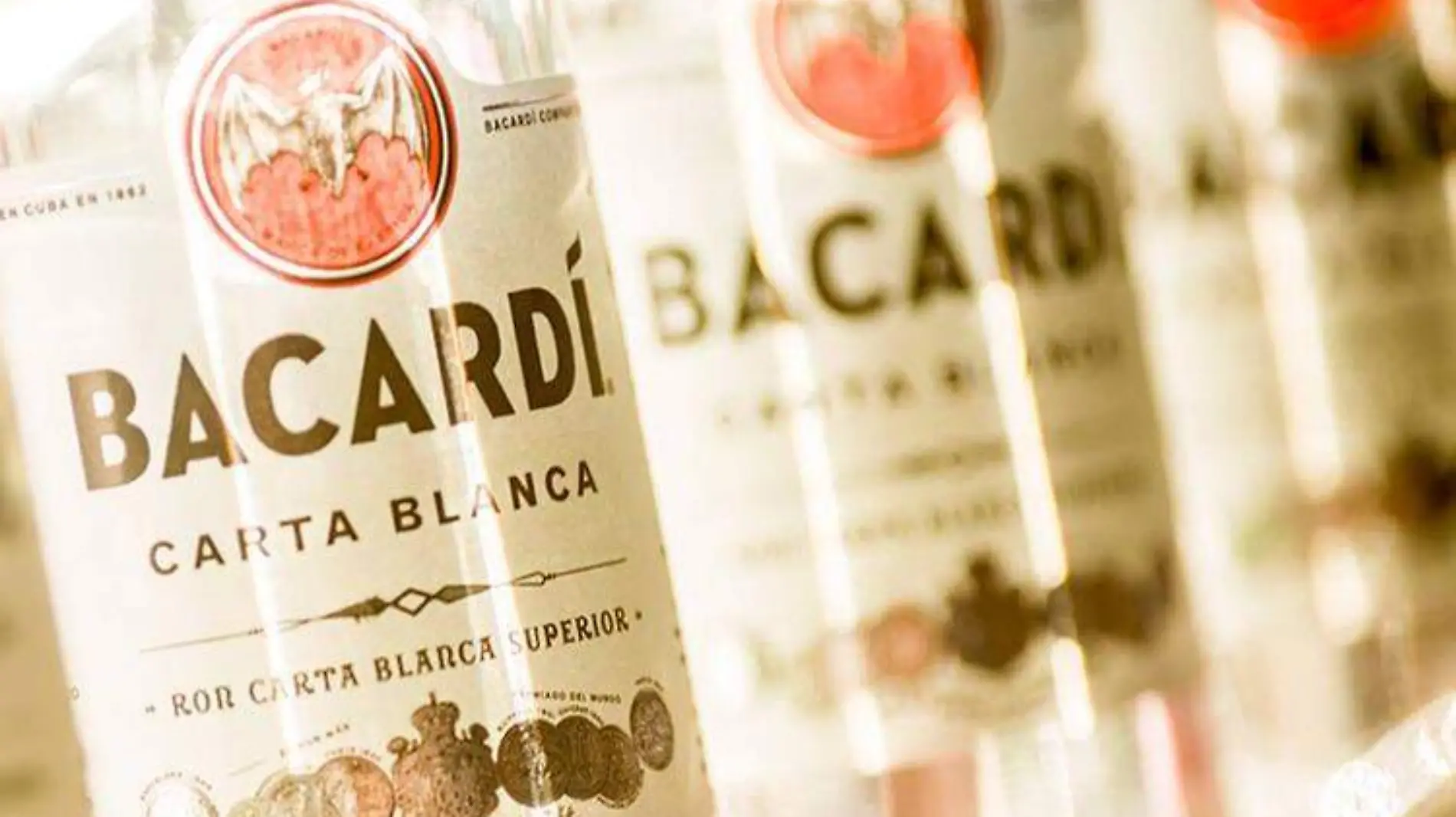 bacardi